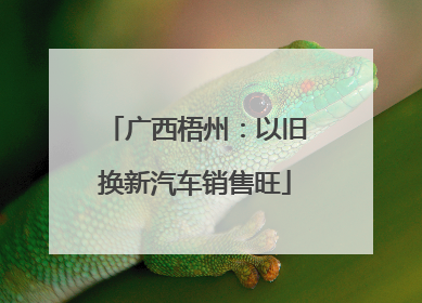 广西梧州：以旧换新汽车销售旺